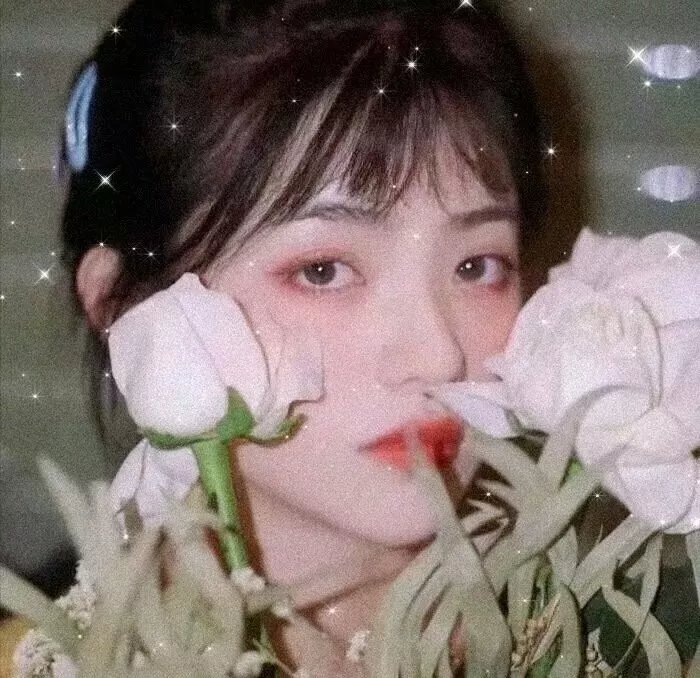 疯狂的豆子